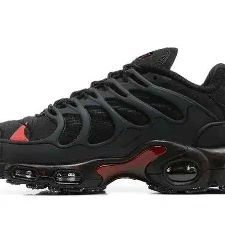 Nike Air Max Plus Sneakers en negro