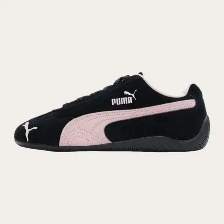 Puma en negro